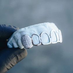 8 teeth Swarovski Frame Grillz Z314