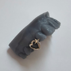 Heart and star Grillz Z319