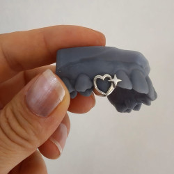 Heart and star Grillz Z319