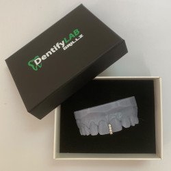 Grillz with Swarovski Z321