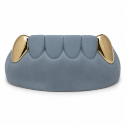 2 teeth Fang Grillz Z331