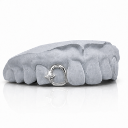 Frame ve Swarovski Taşlı Yıldız Grillz Z333