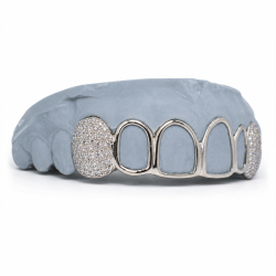 6 diş Swarovski Taşlı ve Çerçeve Grillz Z336