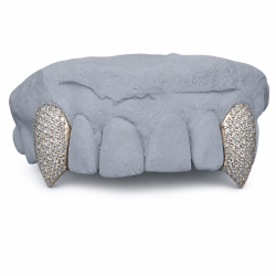 2 diş Swarovski Taşlı Vampir Grillz Z347