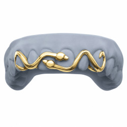 6 Teeth Snake Grillz Z368