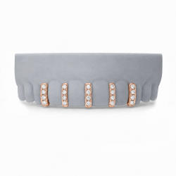 5 Piece Swarovski Bar Grillz Z385