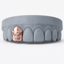Bull Grillz Z394