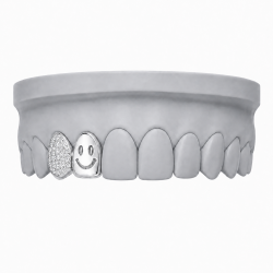 Gülen Yüz ve Swarovski Taşlı Grillz Z399