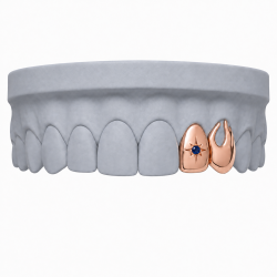 2 Diş Swarovski Taşlı Yıldız Grillz Z400
