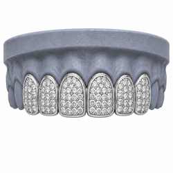 6 Diş Swarovski Taşlı Grillz Z402