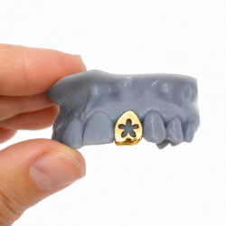 Flower Grillz Z303