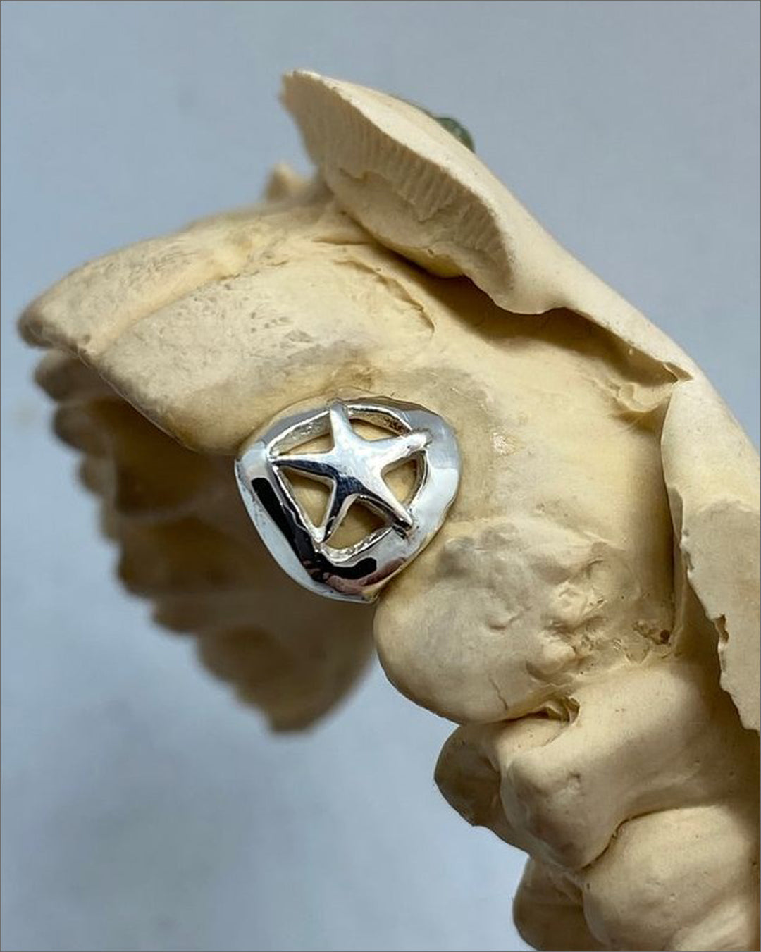 Custom Star Design Grillz