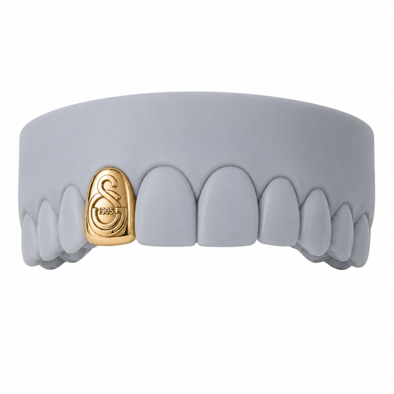 PERSONALIZED LOGO GRILLZ H308
