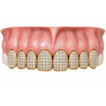 8 TEETH ICED OUT SWAROVSKI GRILLZ Z315